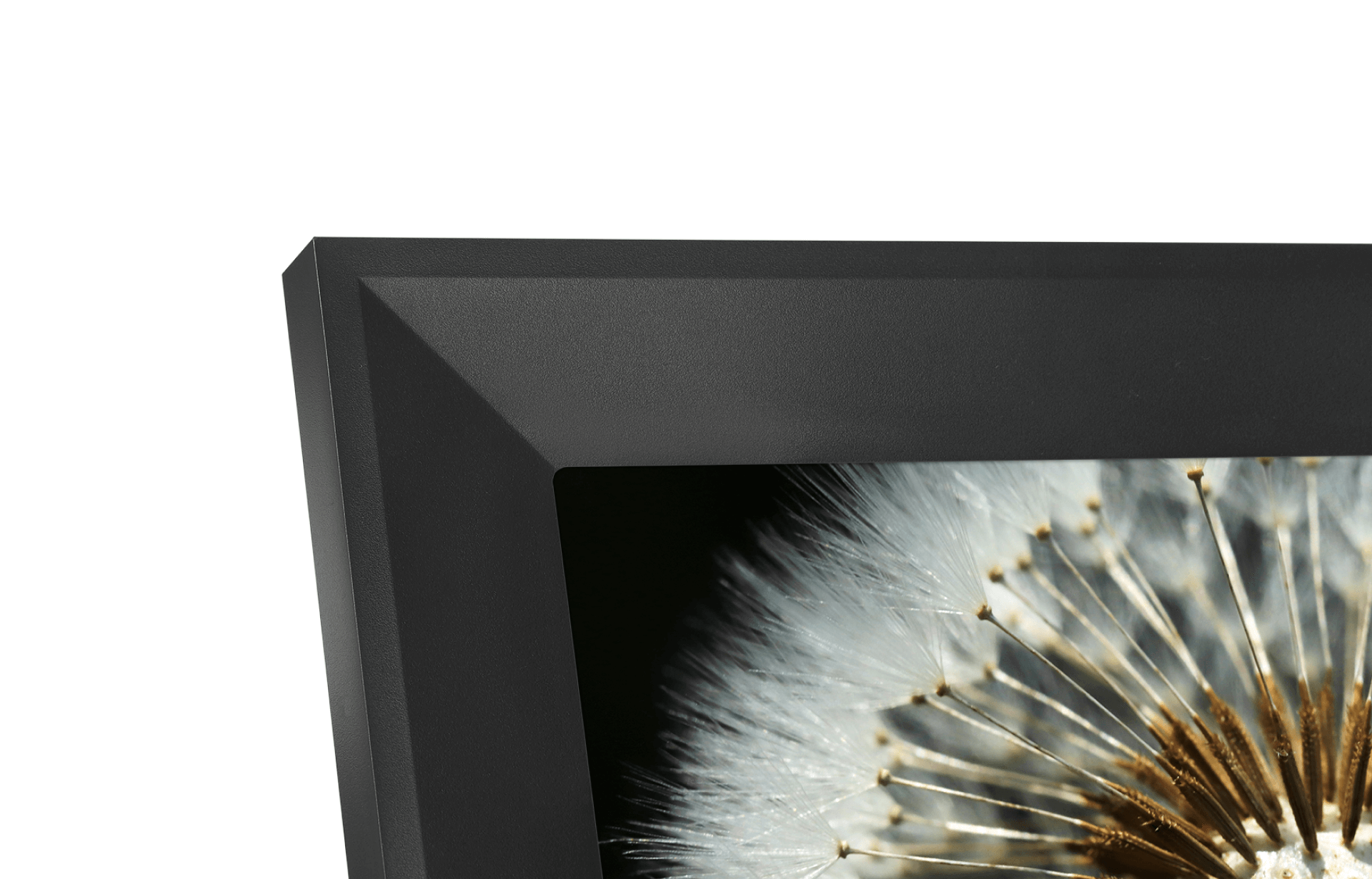 Cover Walnut Frame 2